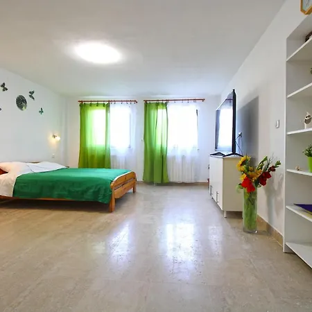 Vesna 718 Apartment *